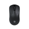 Toad 33 Mouse