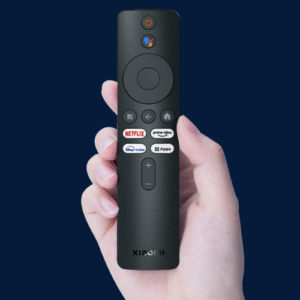 voice remote
